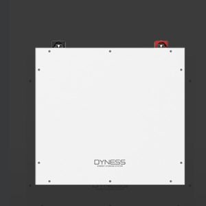 Dyness Maqbul DL 5.0 Battery