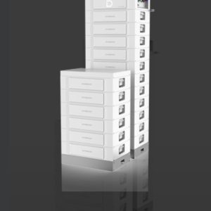 Dyness Stack 100 Battery
